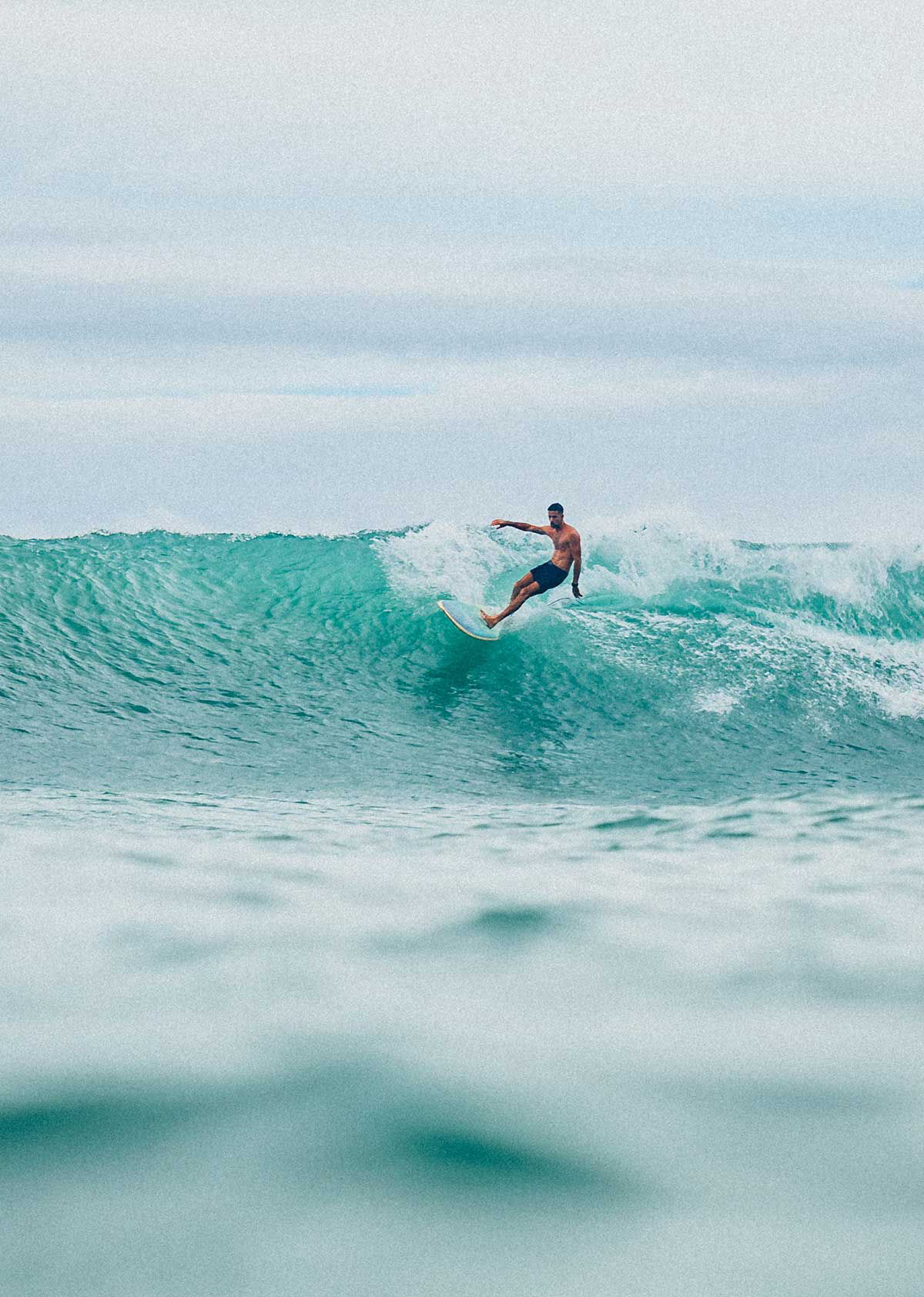 costa rica  SURFBOARDS fabric